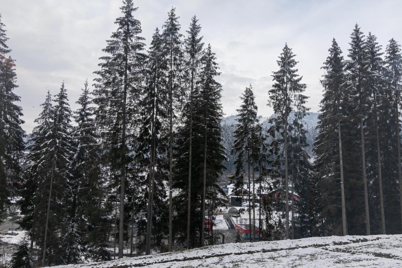 Hvoya Apart-Hotel & Spa Bukovel Luaran gambar